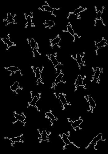 White Frogs on Black   Peinture animalière, art animalier, peintre tableau animal, cheval, ours, élephant, chien sur toile et décoration par Thierry Bisch 